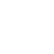 dot-circle